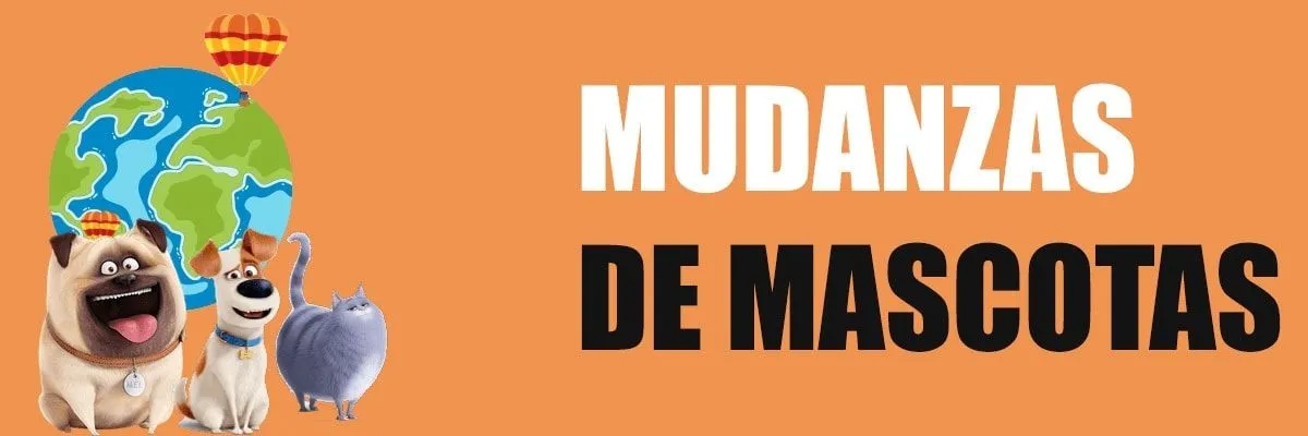 mudanzas-y-traslados-de-mascotas
